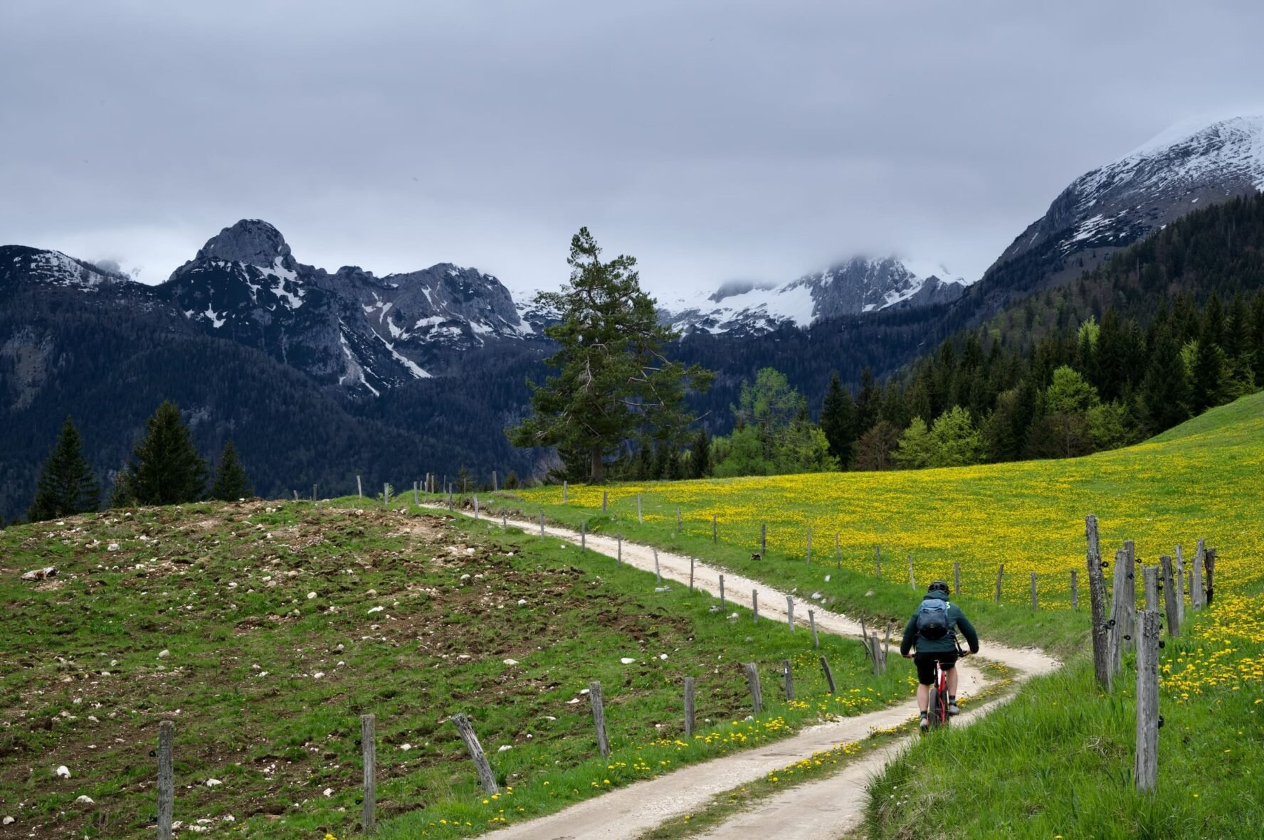 Biker on a trail towards Alpine peaks in Slovenia