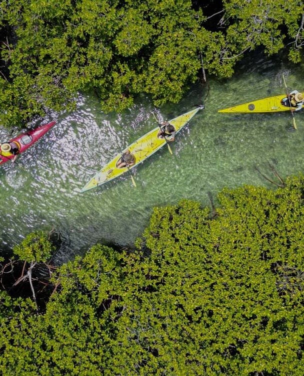 beautiful day kayaking fiji