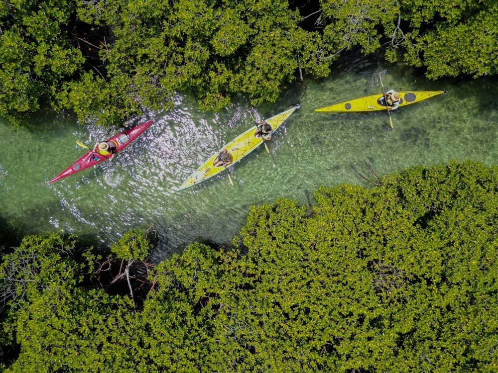 Kayakers, Blue Lagoon, Fiji
