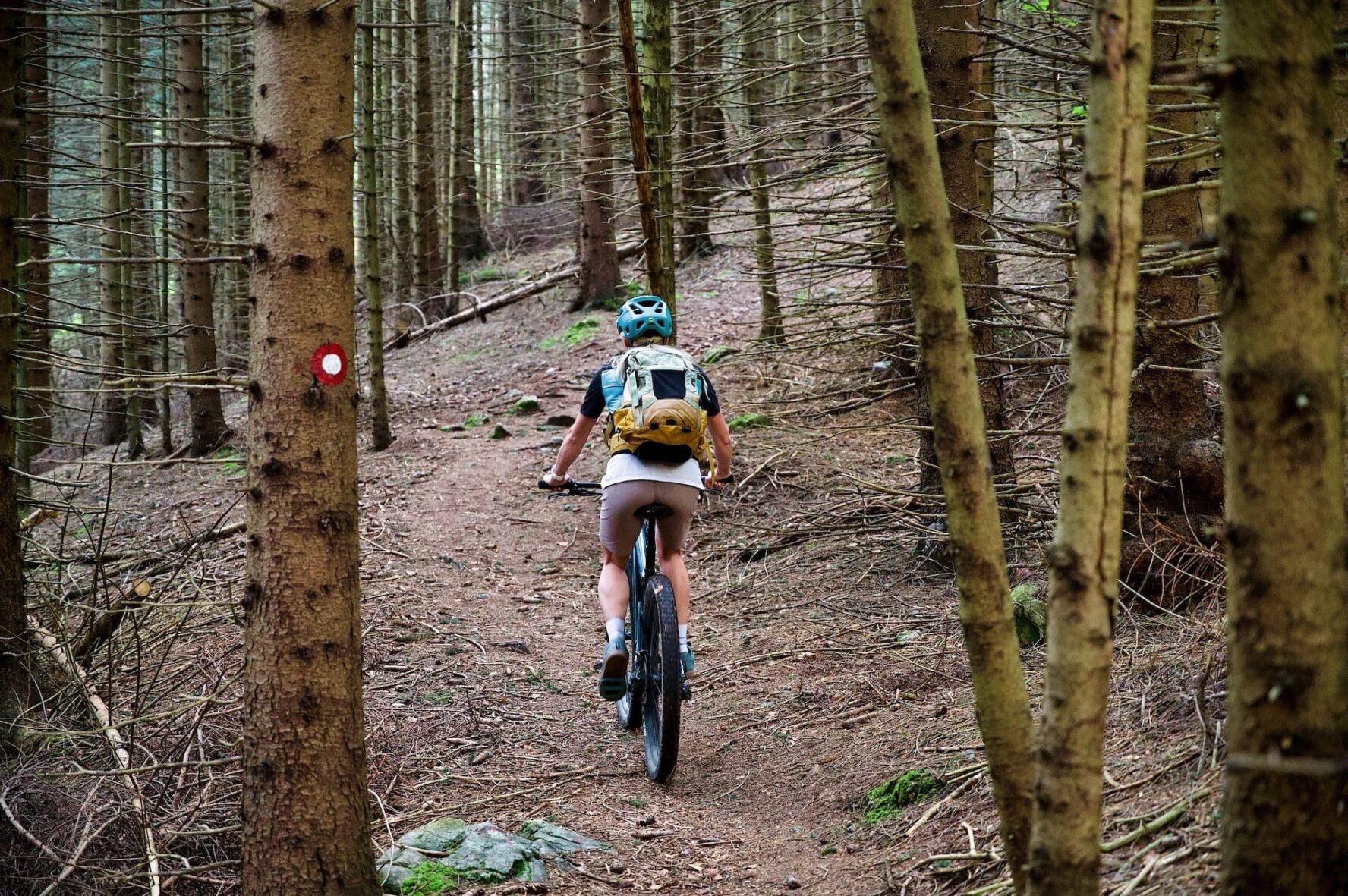 Forest MTB in Slovenia
