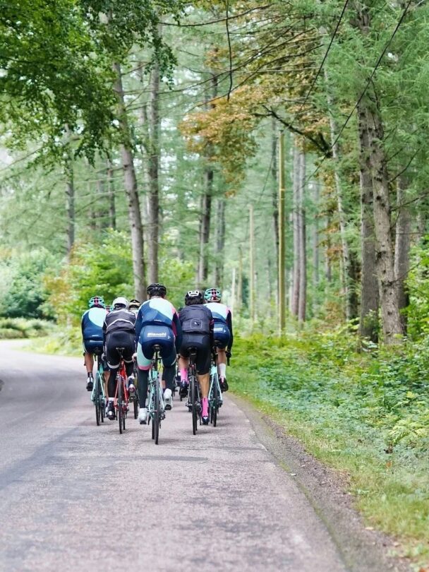 Guided cycling through Slovenia, Austria, and Italy