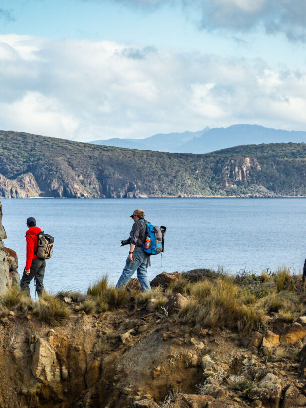 Bruny Island Kayak Tour: Paddle in Tasmania