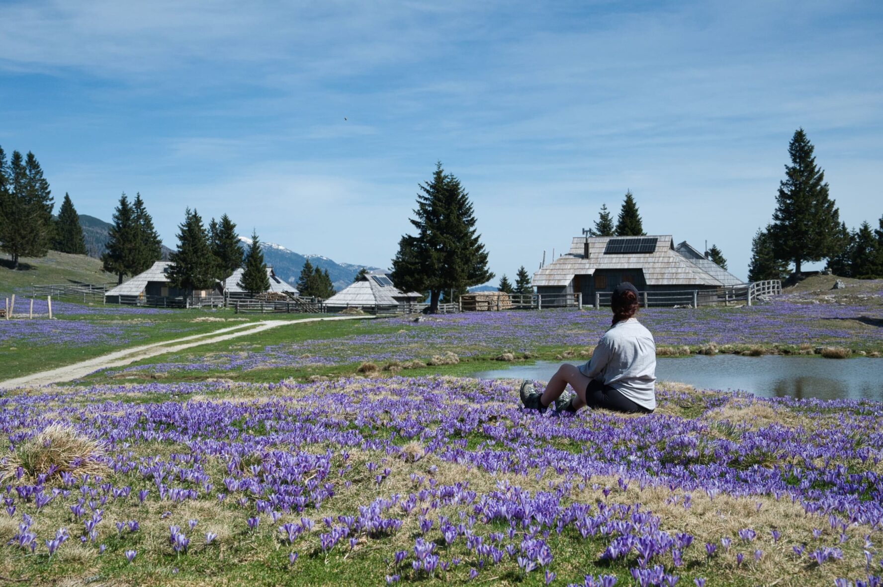 Hiker resting among flowers on the Slovenia hiking & e-MTB trip