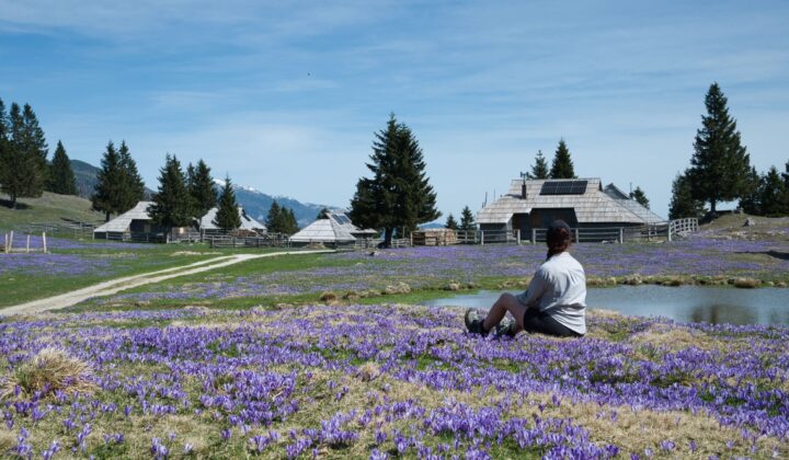 Hiker resting among flowers on the Slovenia hiking & e-MTB trip