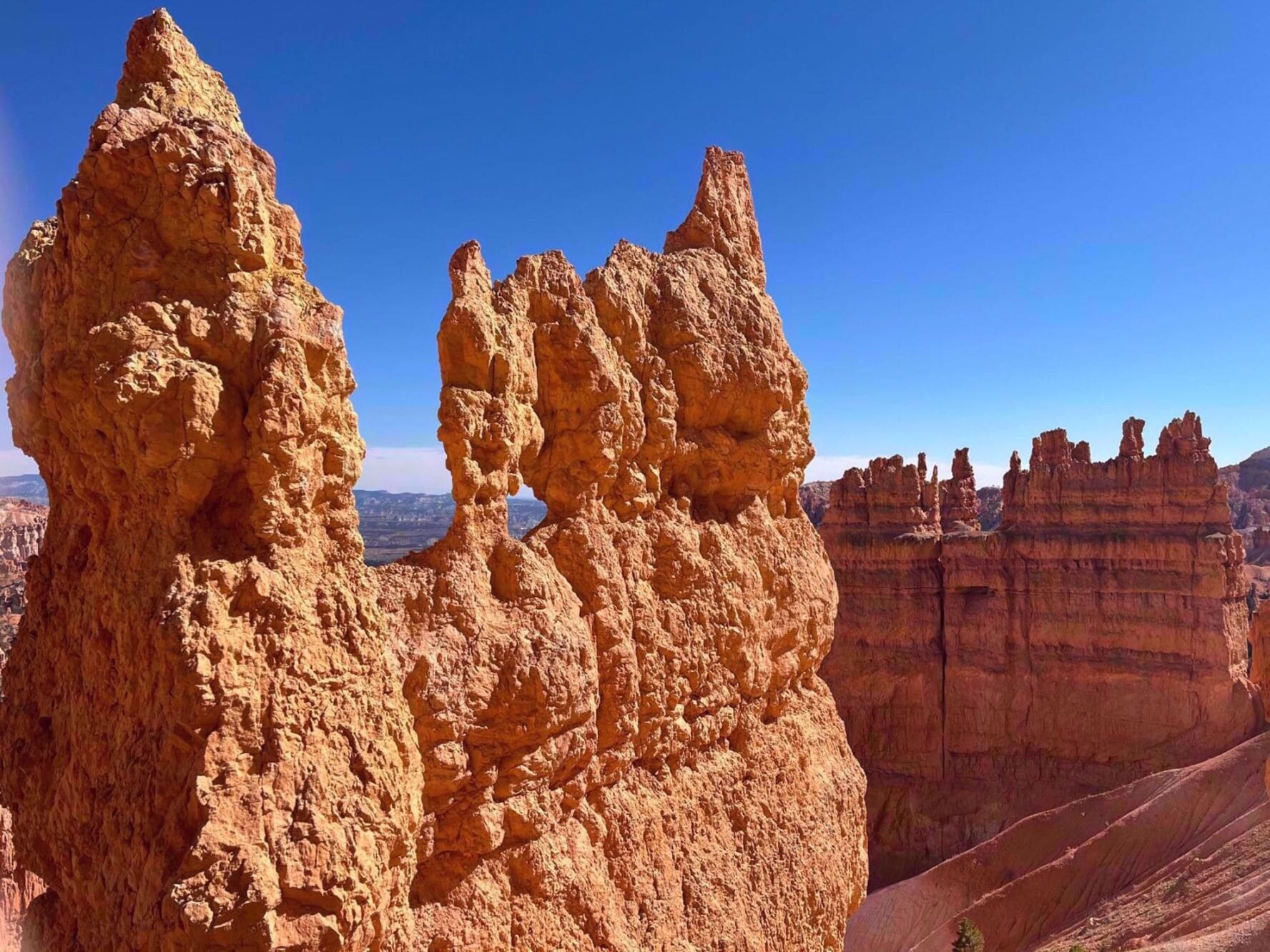 Hoodoos in Bryce Canyon National Park