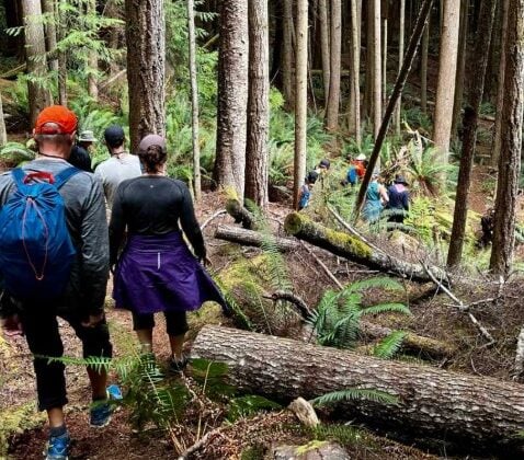 Hiking, Eagle Eye, British Columbia