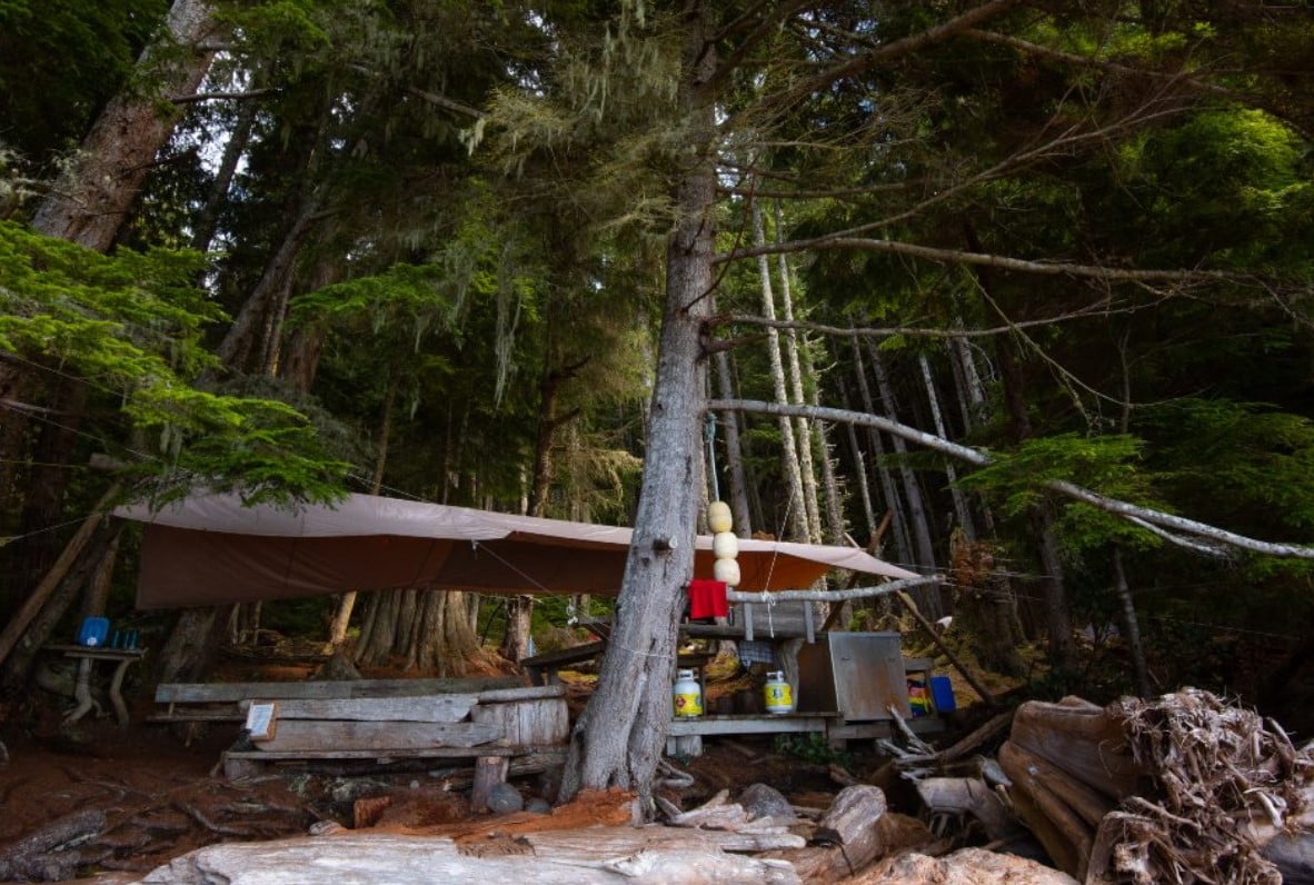 Johnstone Strait kayak adventure, campsite