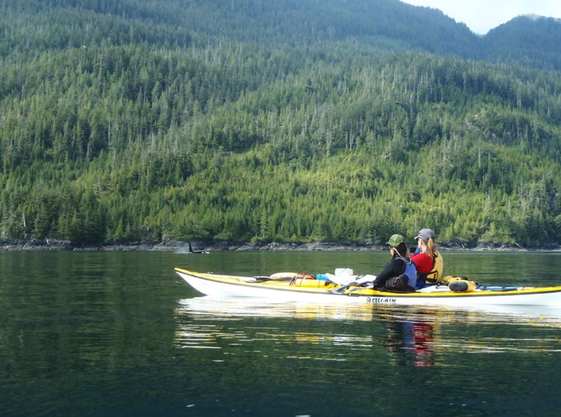 Kayakers paddling, Johnstone Strait