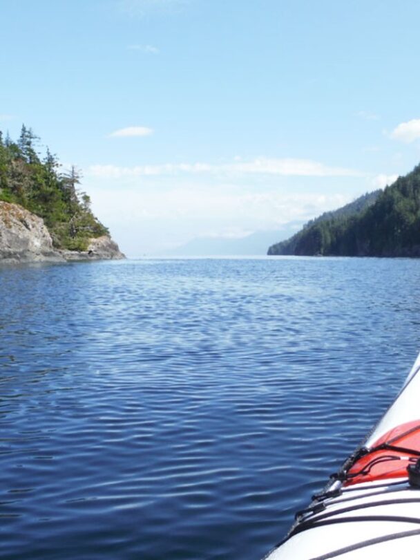 Kayakers, Johnstone Strait kayak tour