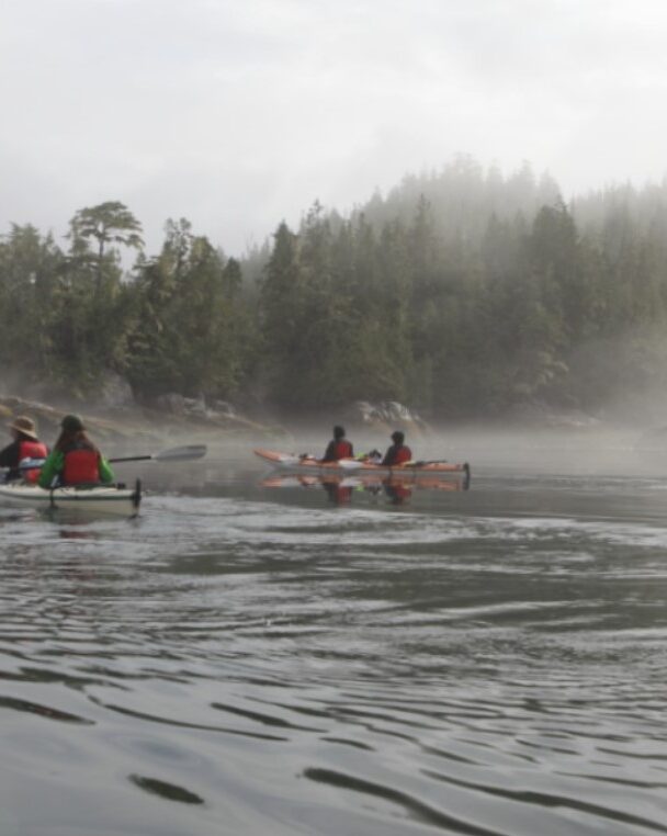 Kayakers, Johnstone Strait kayak tour