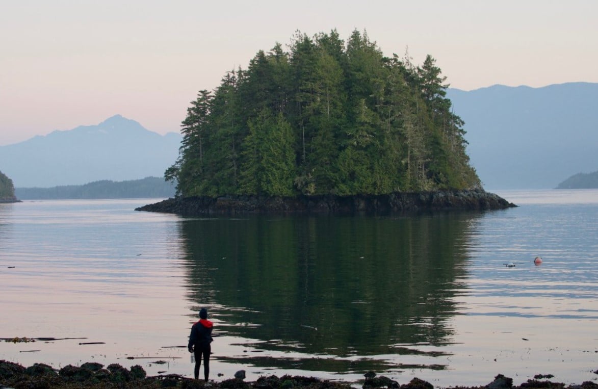 Johnstone Strait kayak tour, nature