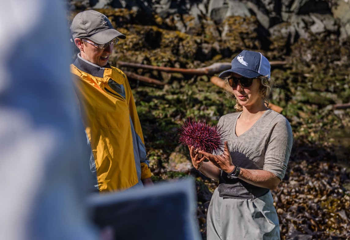 Guide talking about wildlife, Johnstone Strait kayak adventure