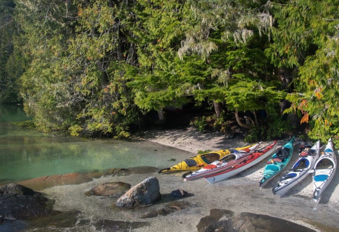 Kayaks, Johnstone Strait