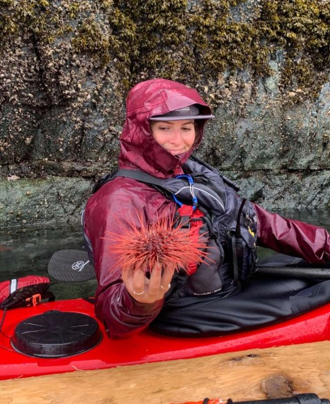 Wildlife in Johnstone Strait
