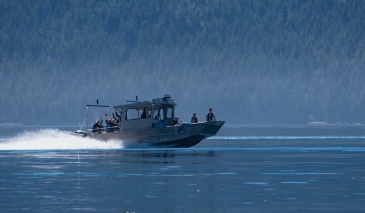 Water taxi, Johnstone Strait