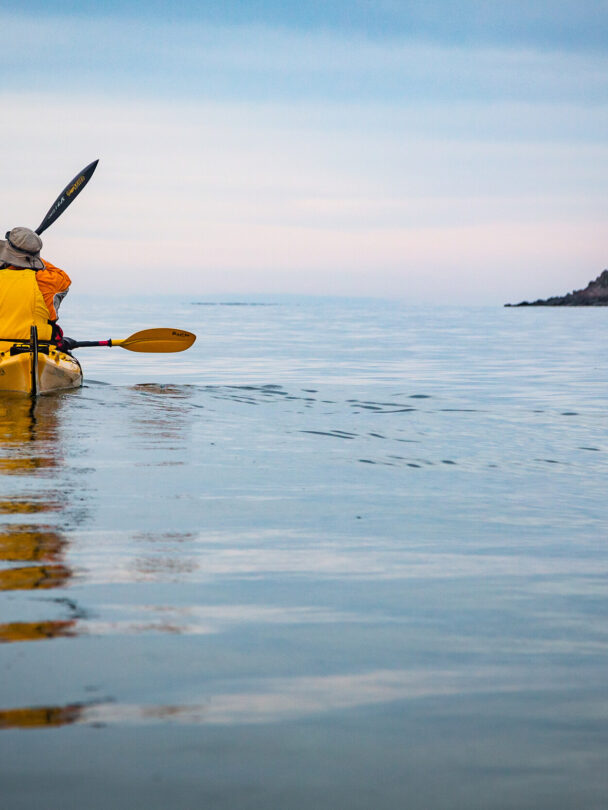 Bruny Island Kayak Tour: Paddle in Tasmania