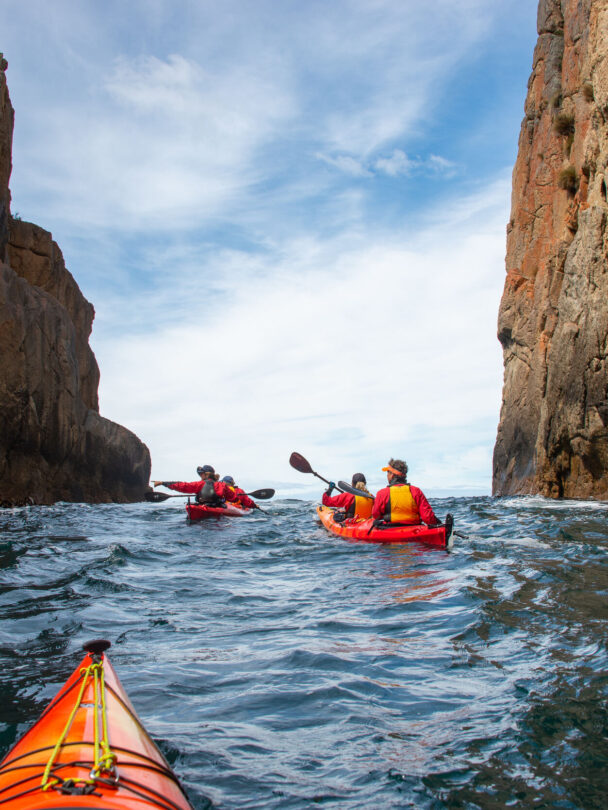 Kayak Adventure Beneath the Three Capes: Tasmania’s Hidden Shores