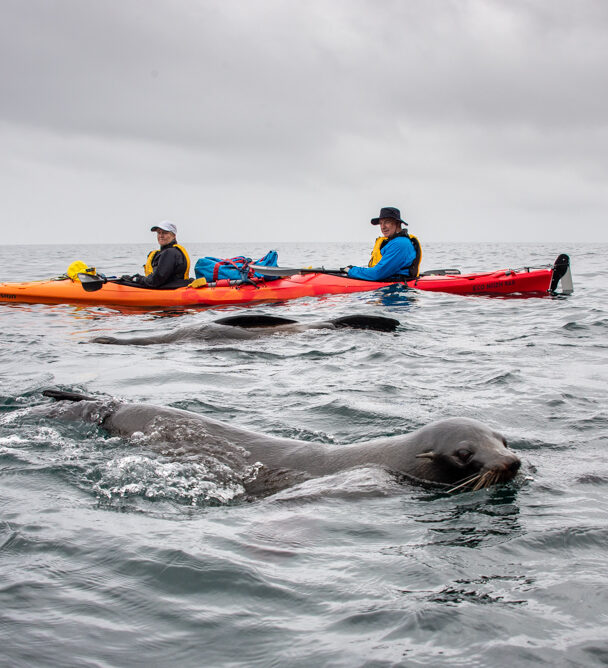 Freycinet Peninsula Kayak Expedition: Hike & Paddle Tasmania’s East Coast