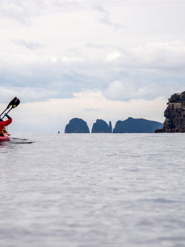 Kayak Adventure Beneath the Three Capes: Tasmania’s Hidden Shores