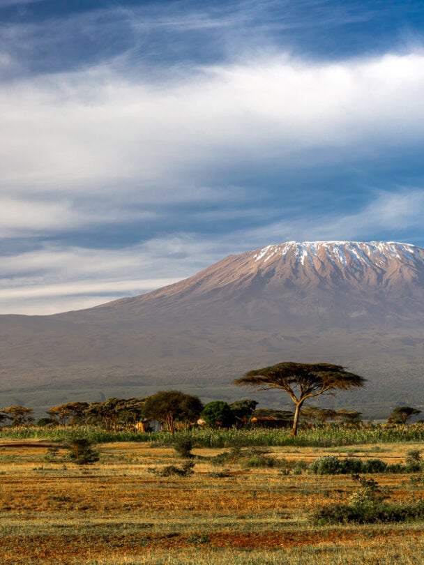 Hiker at the Kilimanjaro’s top