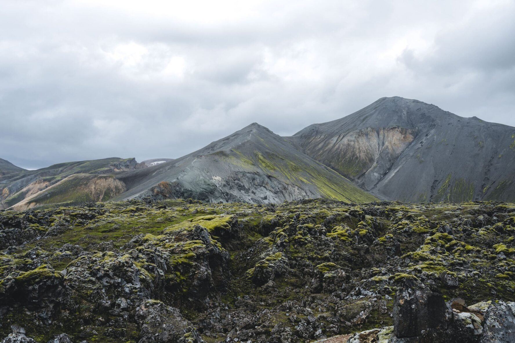 Landmannalaugar lush vegetation