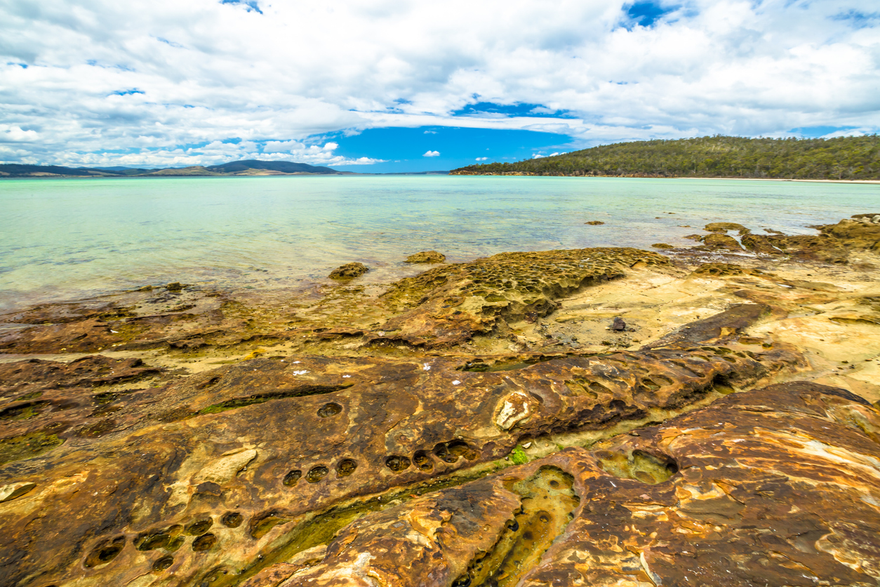 Lime Bay beach on the Tasman Peninsula