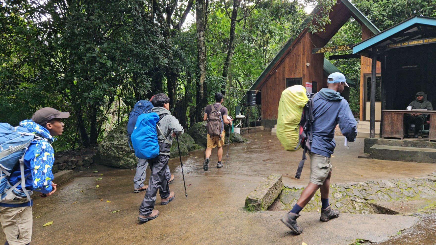 Hikers on Marangu route, Kilimanjaro