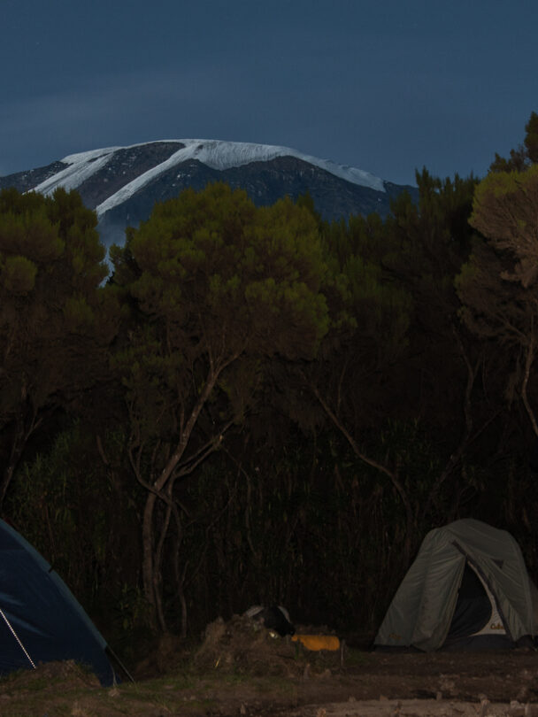 Hikers, Uhuru Peak