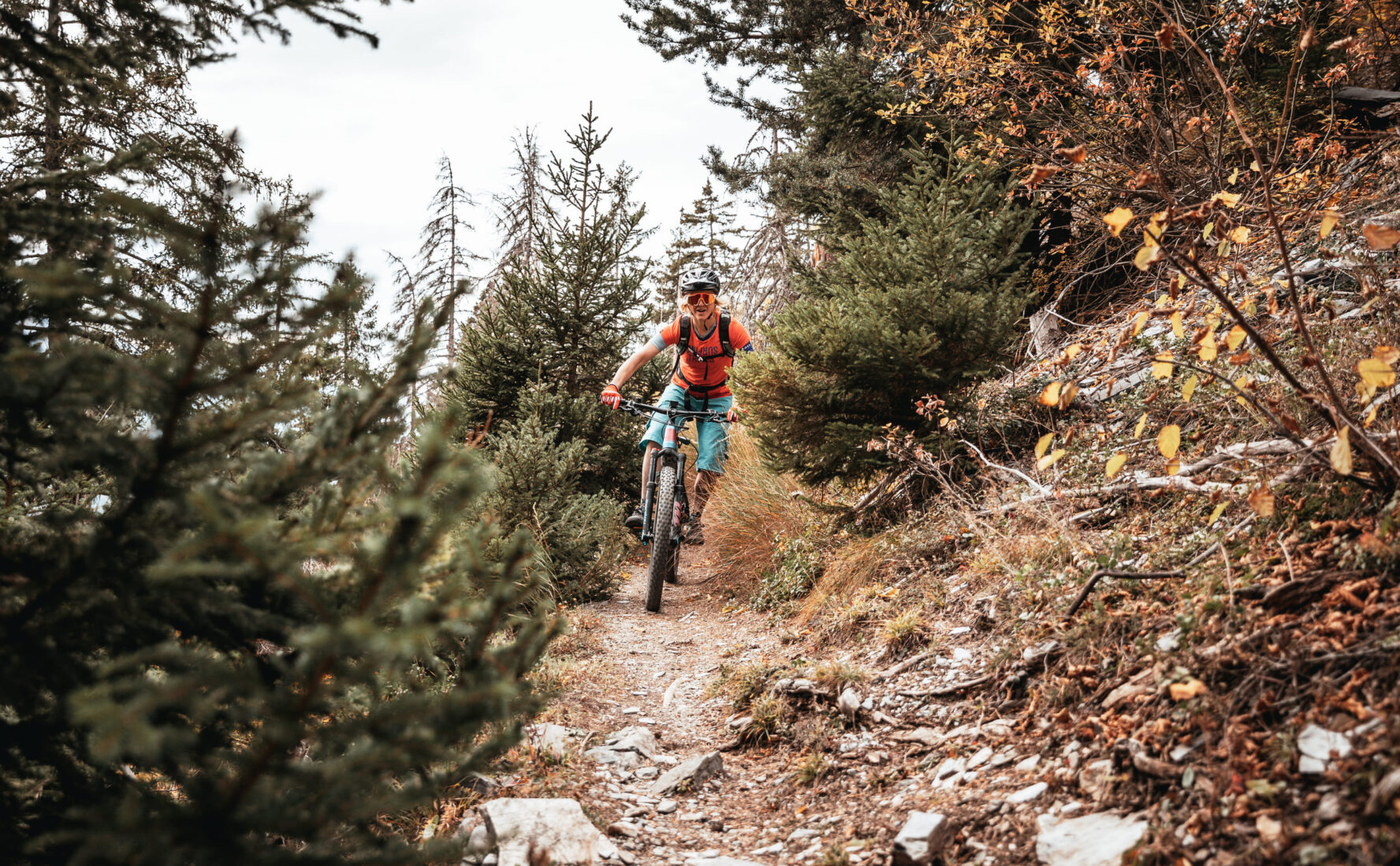 One MTBer in the woods of the Swiss Alps