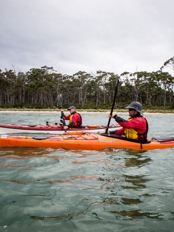 Bruny Island Kayak Tour: Paddle in Tasmania