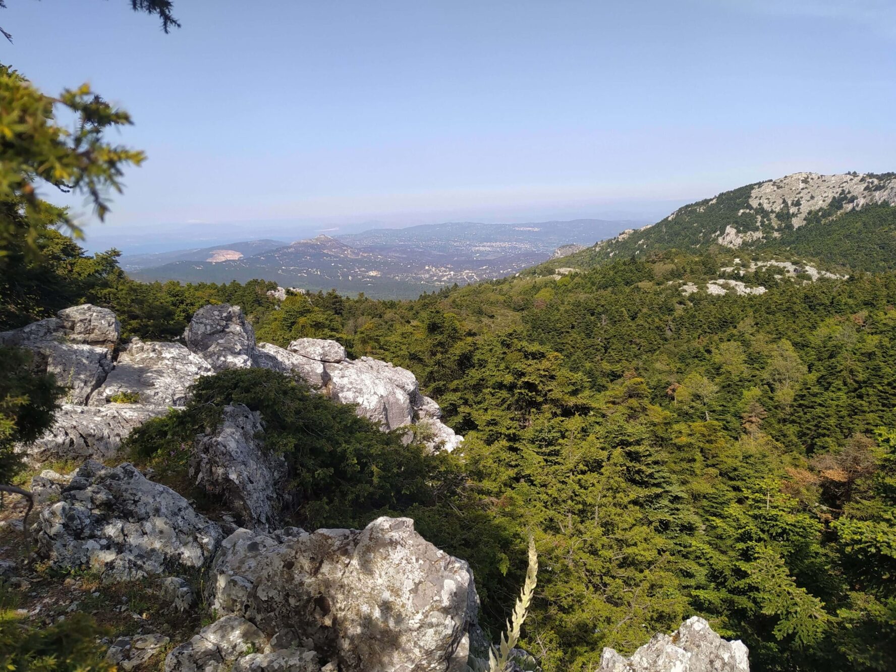 Panoramic view on Mount Parnitha