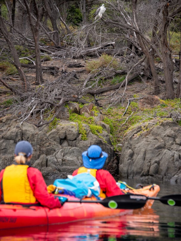 Freycinet Peninsula Kayak Expedition: Hike & Paddle Tasmania’s East Coast