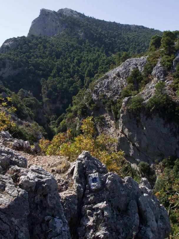 Mount Parnitha near Athens hiking tour