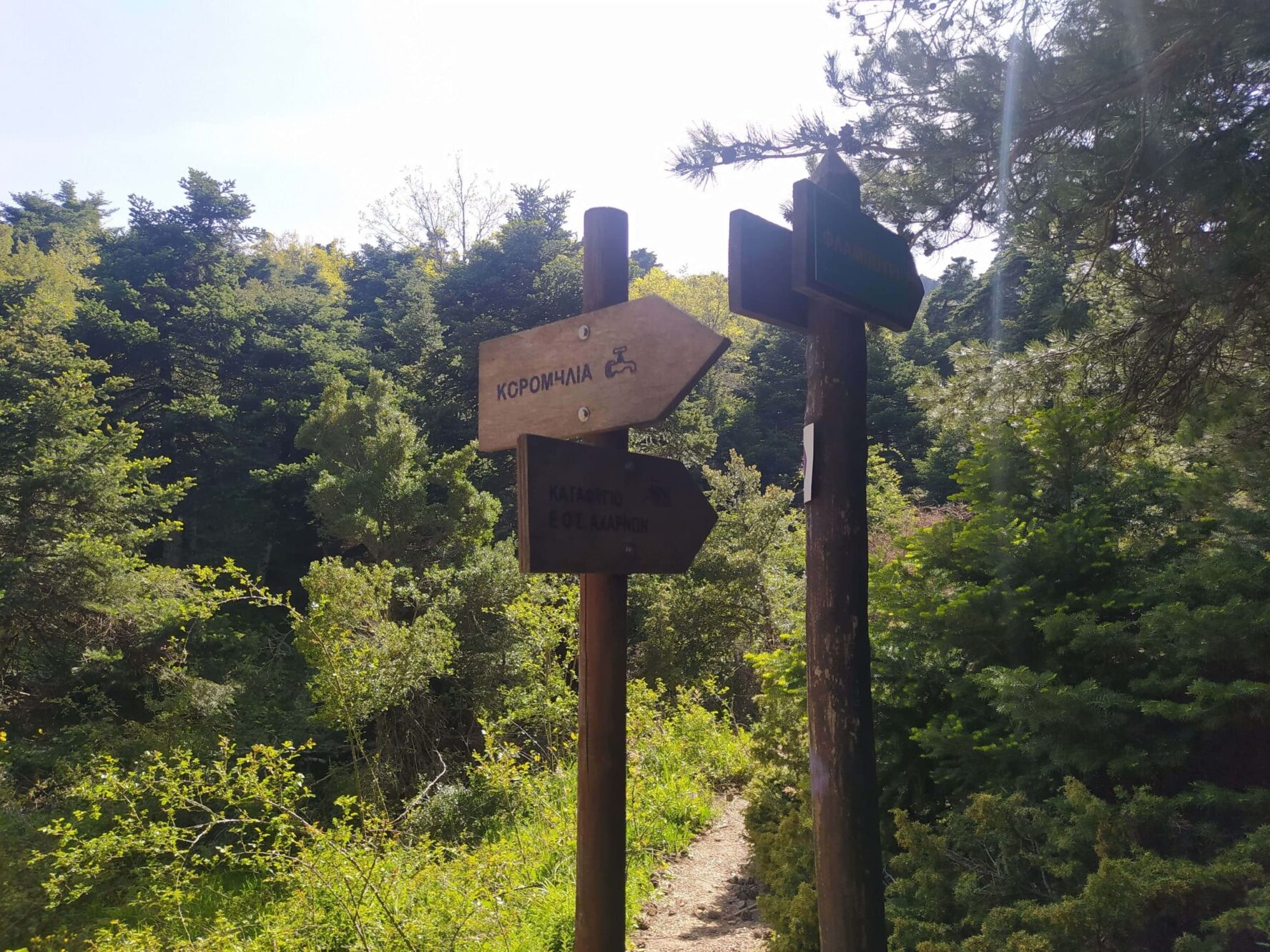 Trail signs on Parnitha Mountain