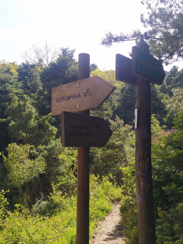 Mount Parnitha near Athens hiking tour