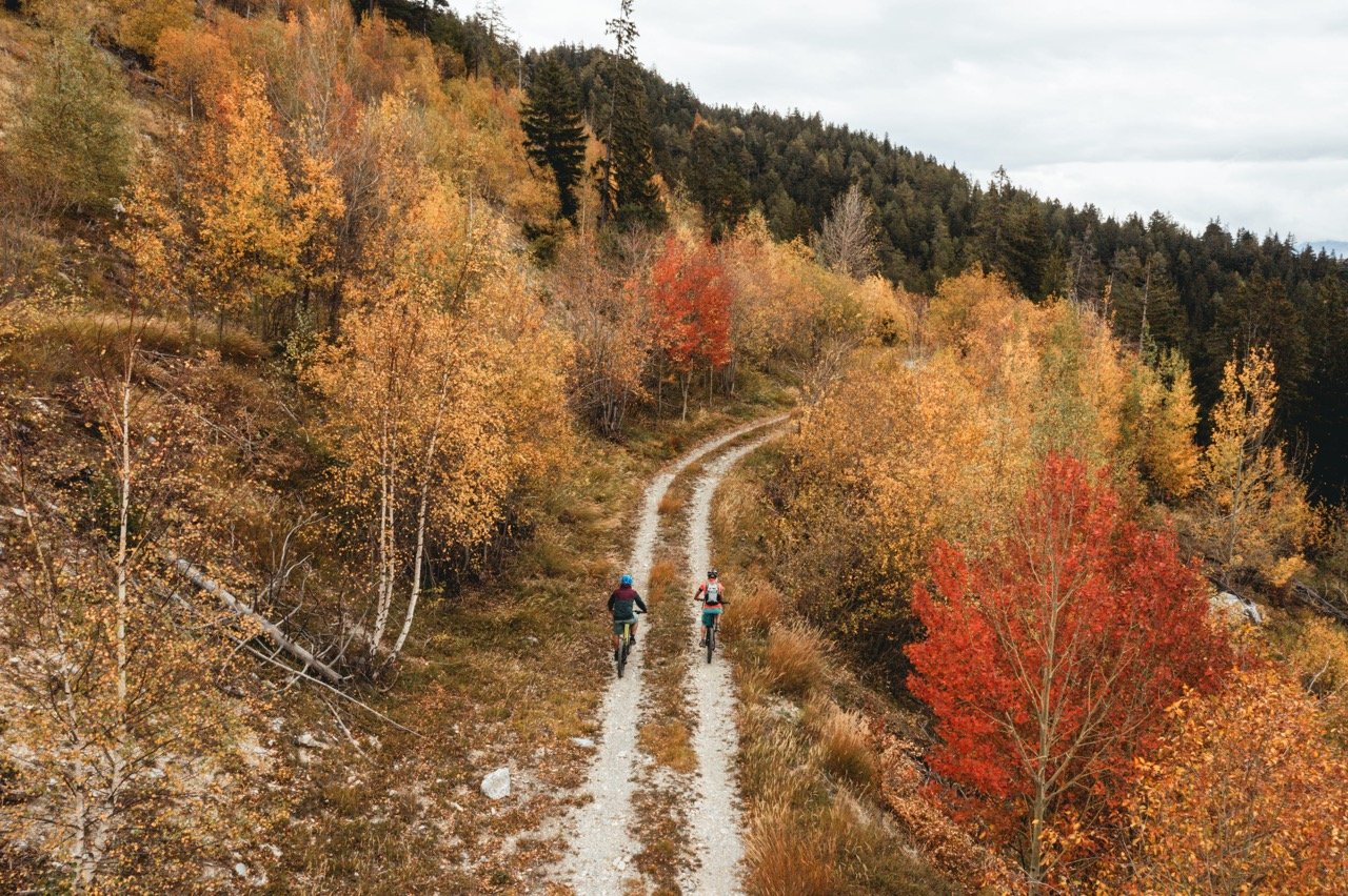 Two mountain bikers on a track in the Alps