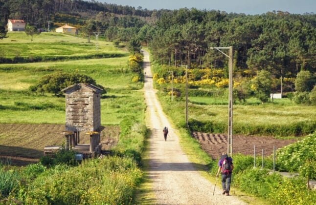 Camino de Santiago tours with local guides