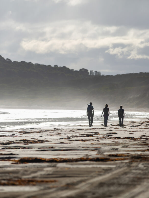 Bruny Island Kayak Tour: Paddle in Tasmania