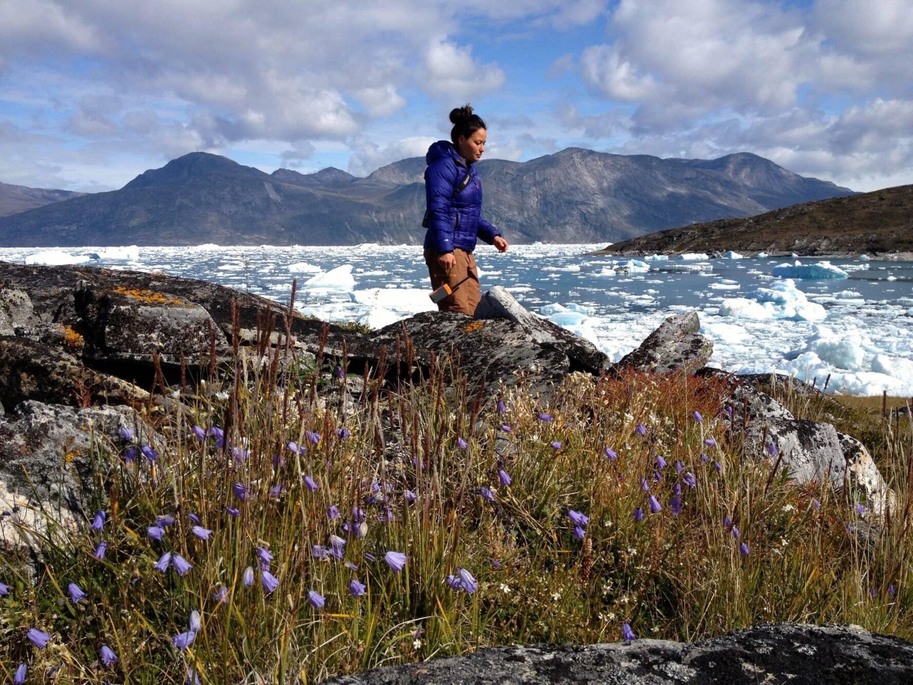Woman near flowers in Greenland