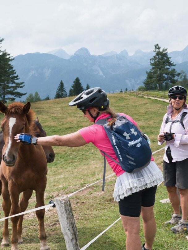 e-MTB in the Julian Alps: Wheels, History & Cuisine