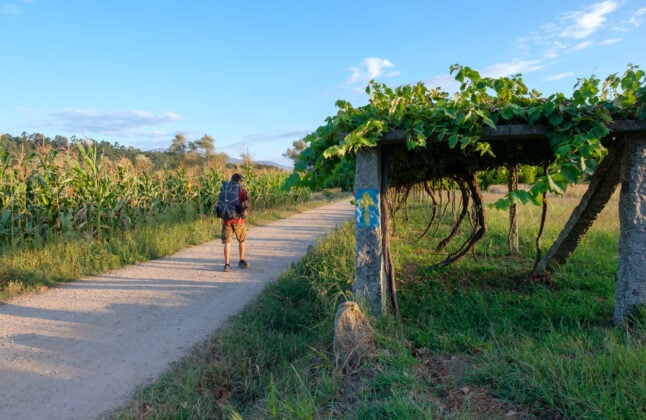 10-day camino de santiago