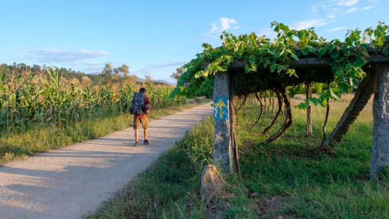 10-day camino de santiago