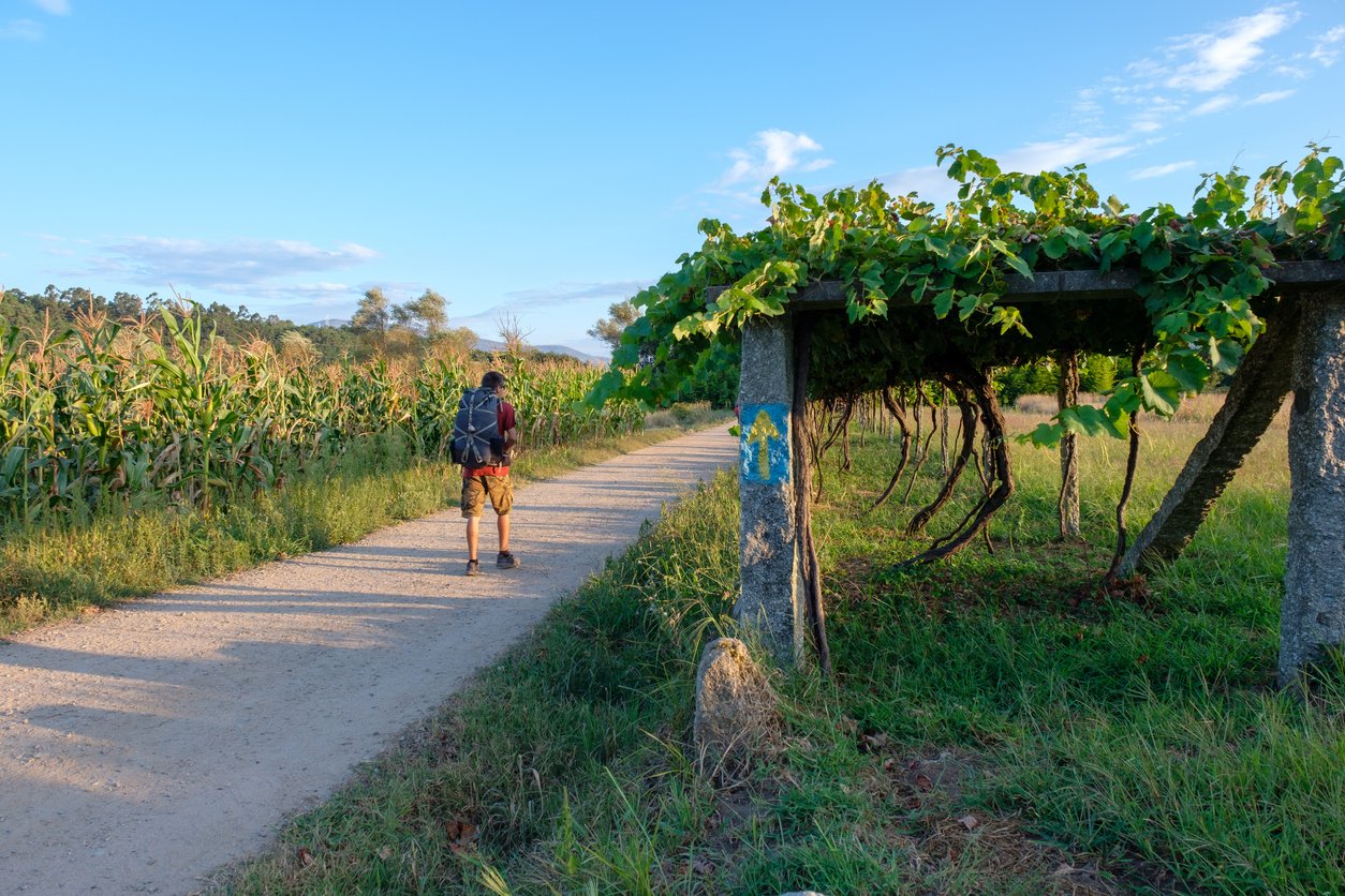 10-day camino de santiago