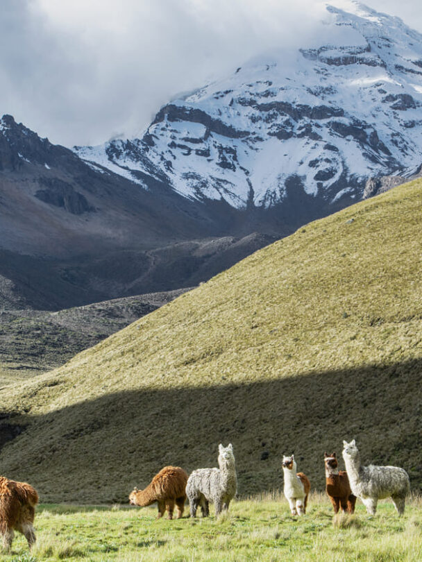 Hiking Ecuador volcanoes