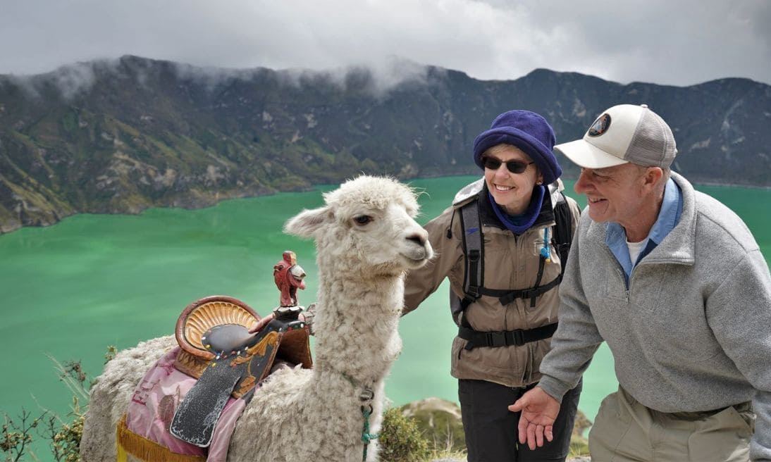 Animal encounters in Ecuador