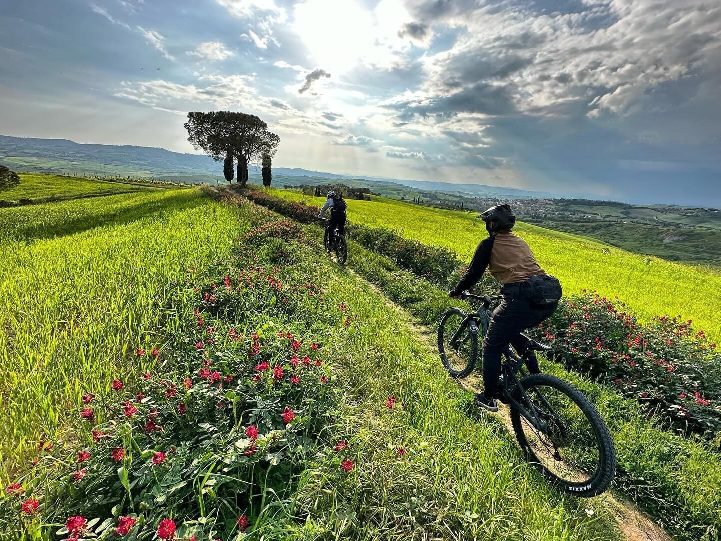 Bikers on a trail surrounded by flowers, vineyards, and greenery