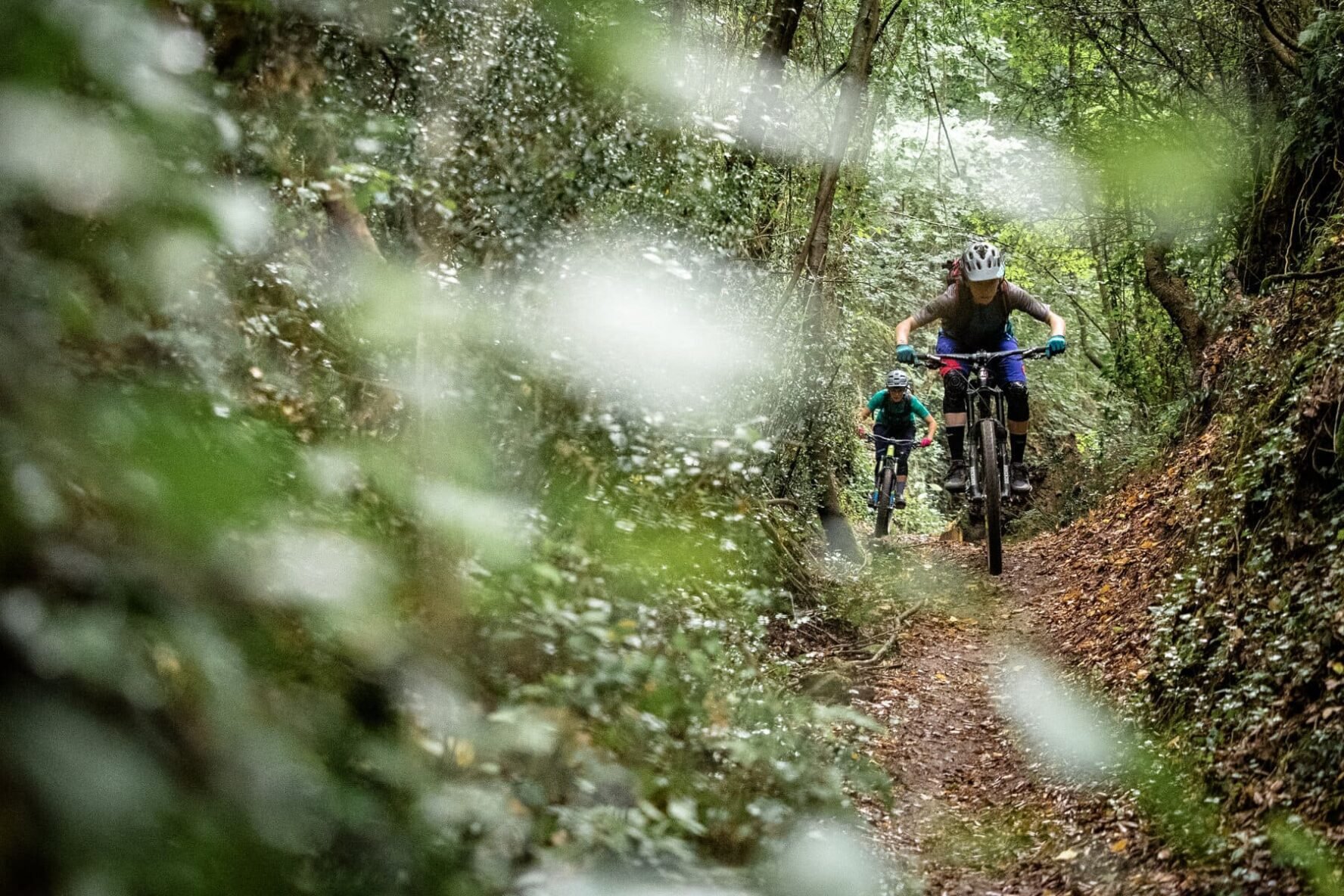 Bikers on a forest trail on the Tuscany e-bike trip
