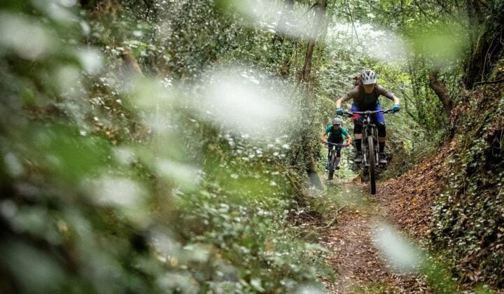 Bikers on a forest trail on the Tuscany e-bike trip
