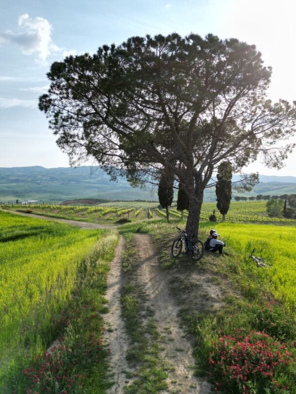 Tuscany e-MTB Trip: Ride, Wine & Explore