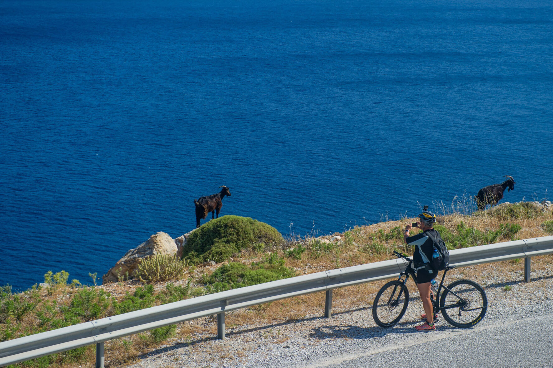Biking and taking photos of goats near the sea